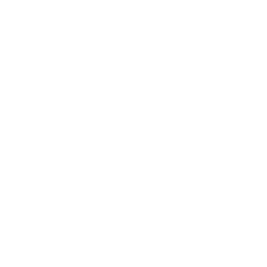 Master Design